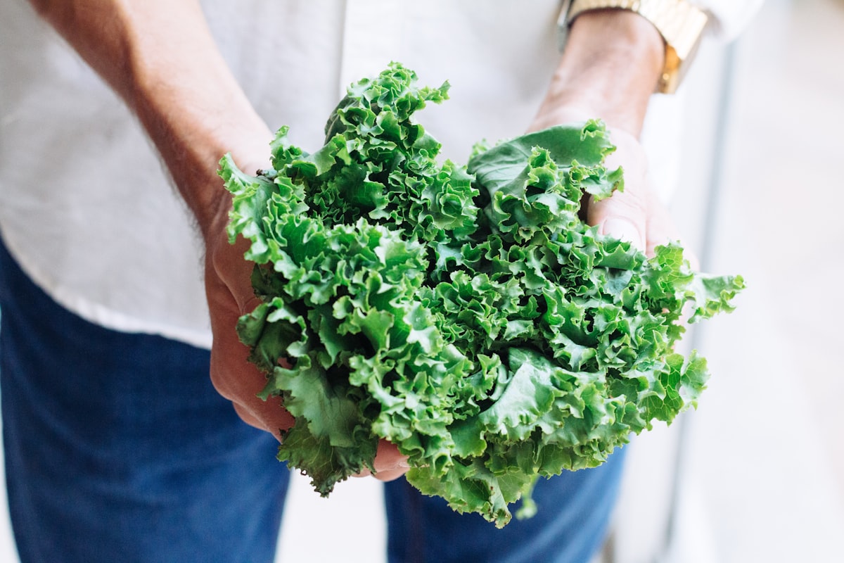 Aliments riches en calcium